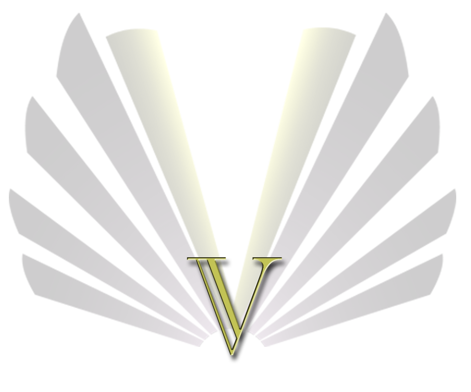 VR logo